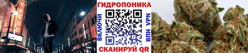 Купить где  Тюмень  Бошки Шишки марихуана